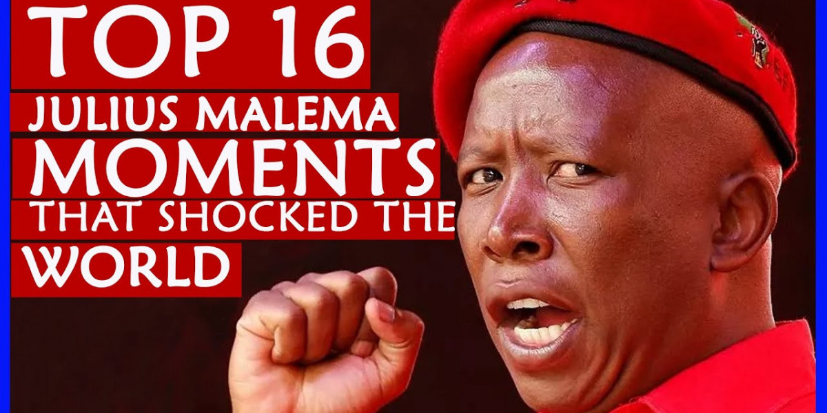 TOP 16 JULIUS MALEMA MOMENTS THAT SHOCKED THE WORLD