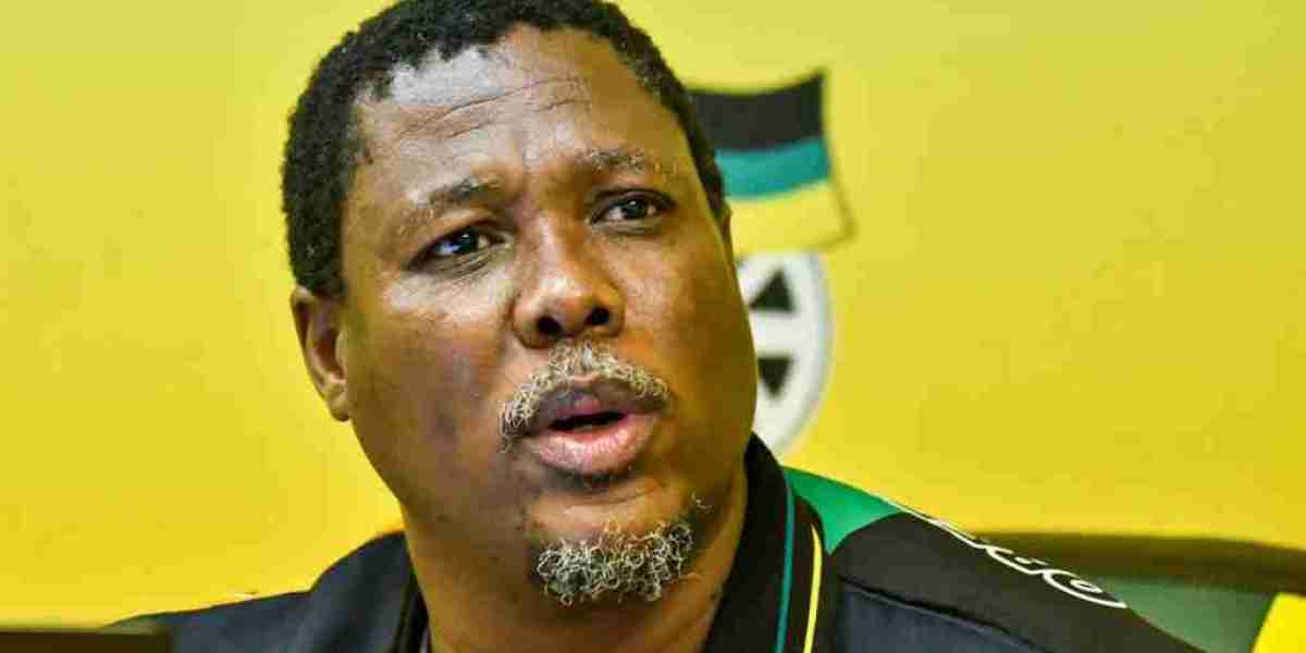 Mic-grabbing incident: ANC's Mtolo says all Duma did was 'discipline an ill-disciplined character'