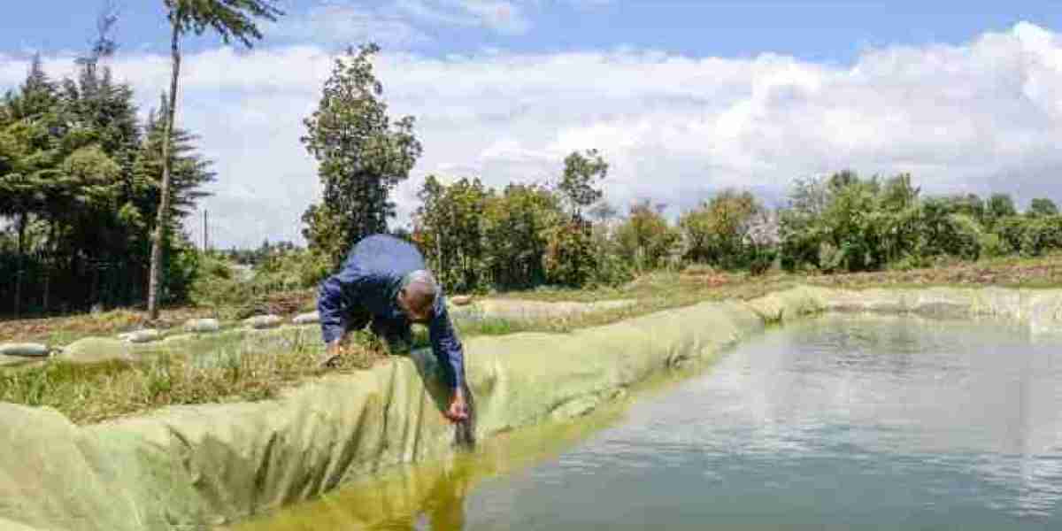 Climate change puts pressure on Kenya’s water resources