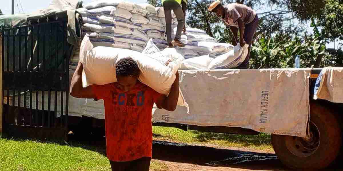 Government confirms distribution of bad fertiliser to farmers