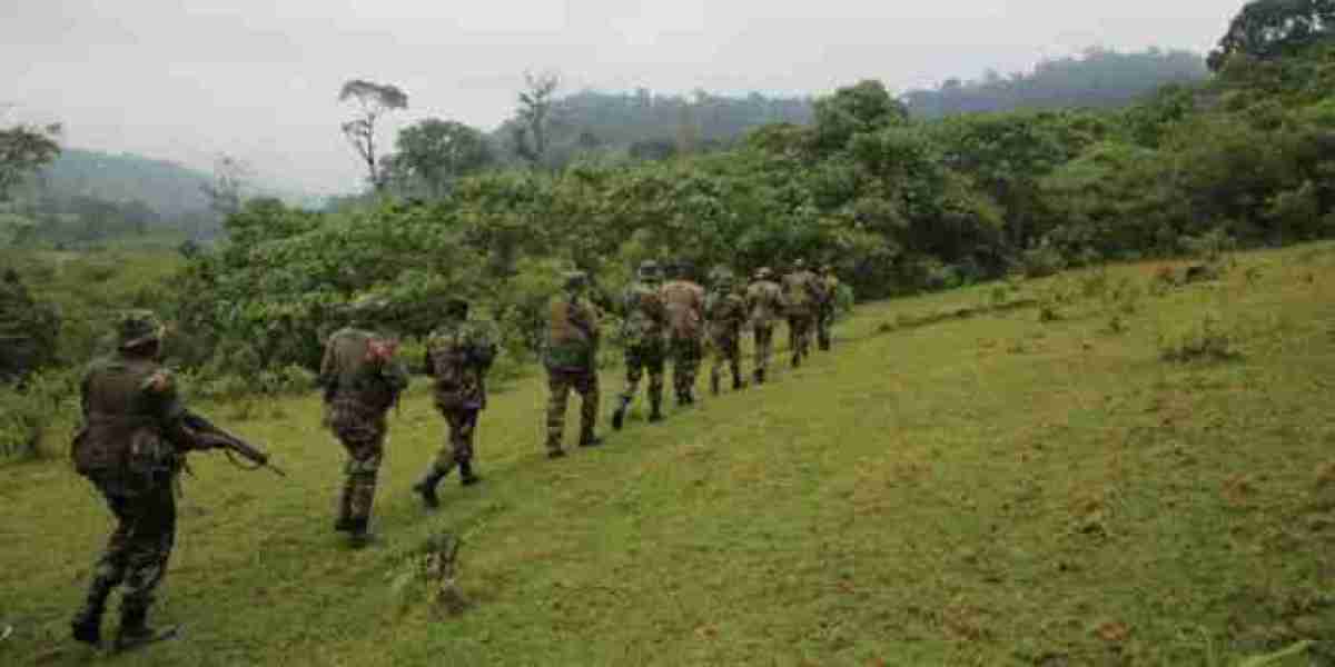KFS Reveals Ownership of Ololuua Forest Lands After Concerns of Land Grabbing