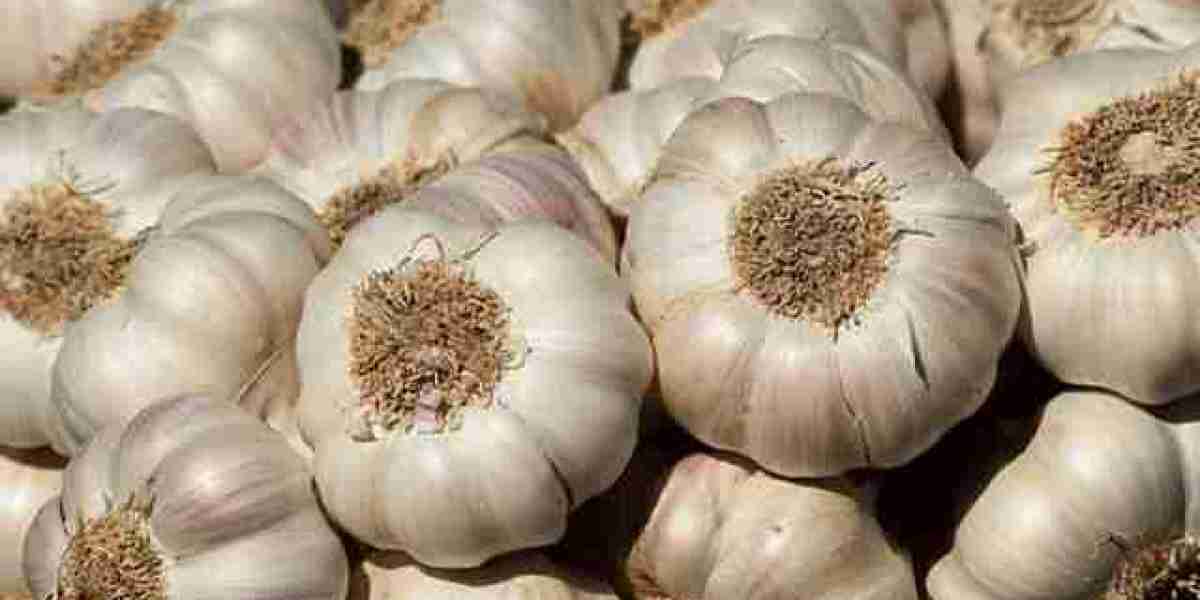 Nutrition alert: Here’s what a 100-gram serving of garlic contains