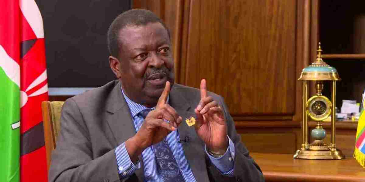 Heads must roll over distribution of substandard fertiliser – Mudavadi