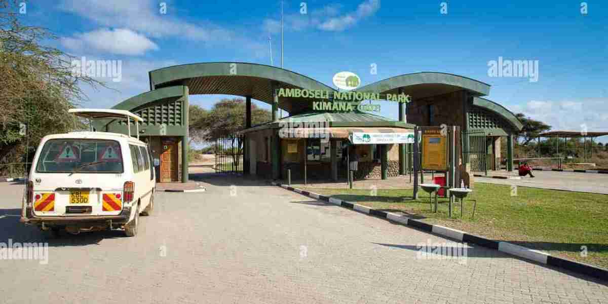 KWS puts up 13 tourist camps for lease in cash drive