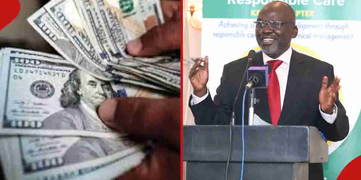 Kenya Shilling Below KSh 130 Per Dollar: What It Means to Local Manufacturers, Consumer