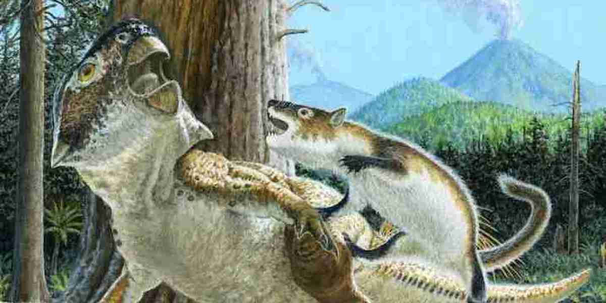 Dinosaur vs. mammal: 'Jaw-dropping' fossil reveals prehistoric battle