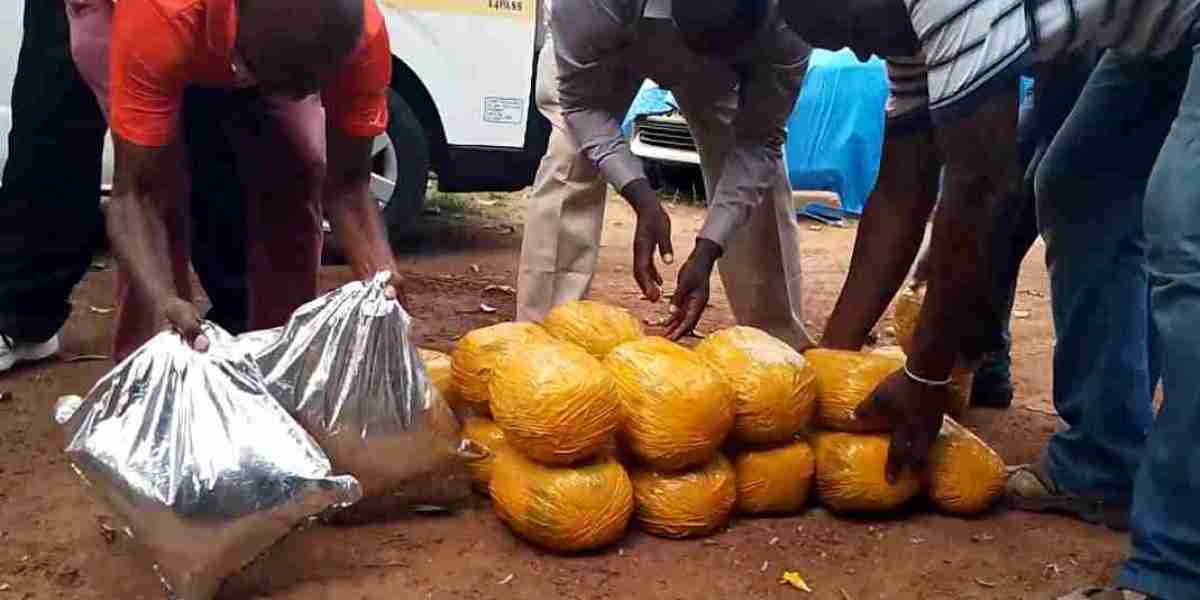 Three Women Arrested While Transporting Bhang, Chang'aa From Uganda To Kayole