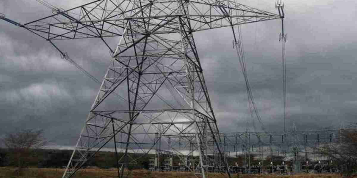 Private firms to import electricity for resale locally.