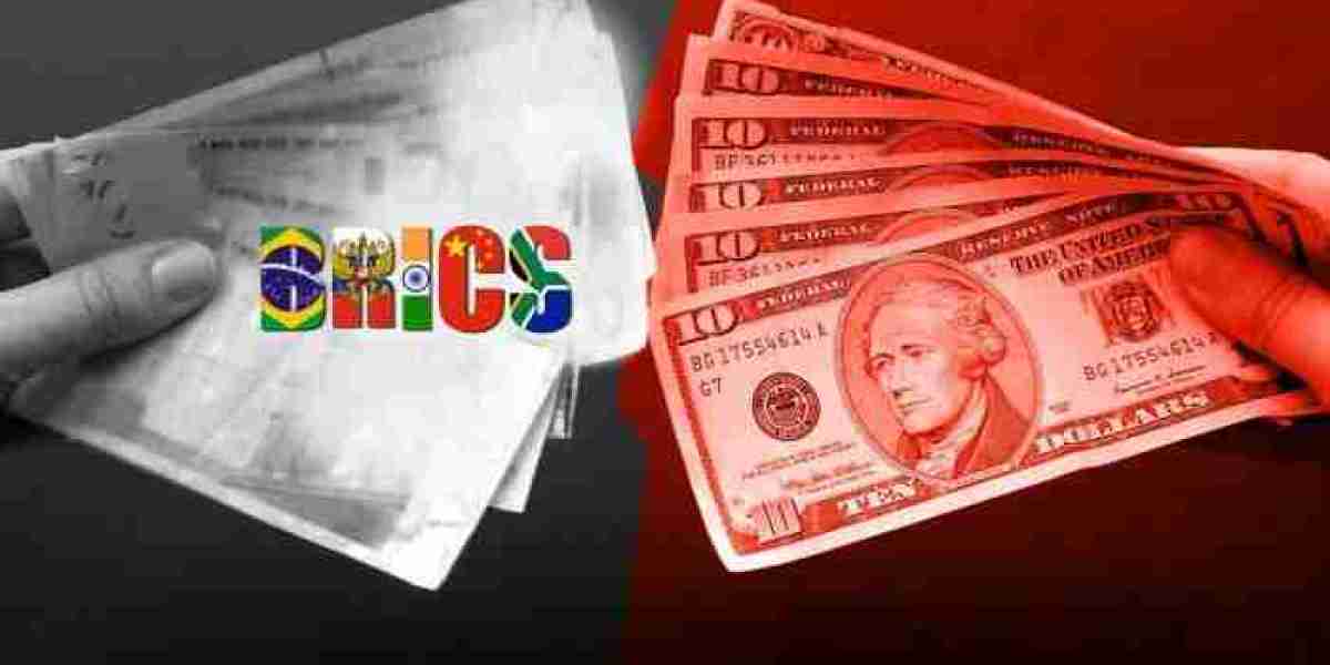 BRICS countries to stop trading in US dollar, plans to introduce new currency