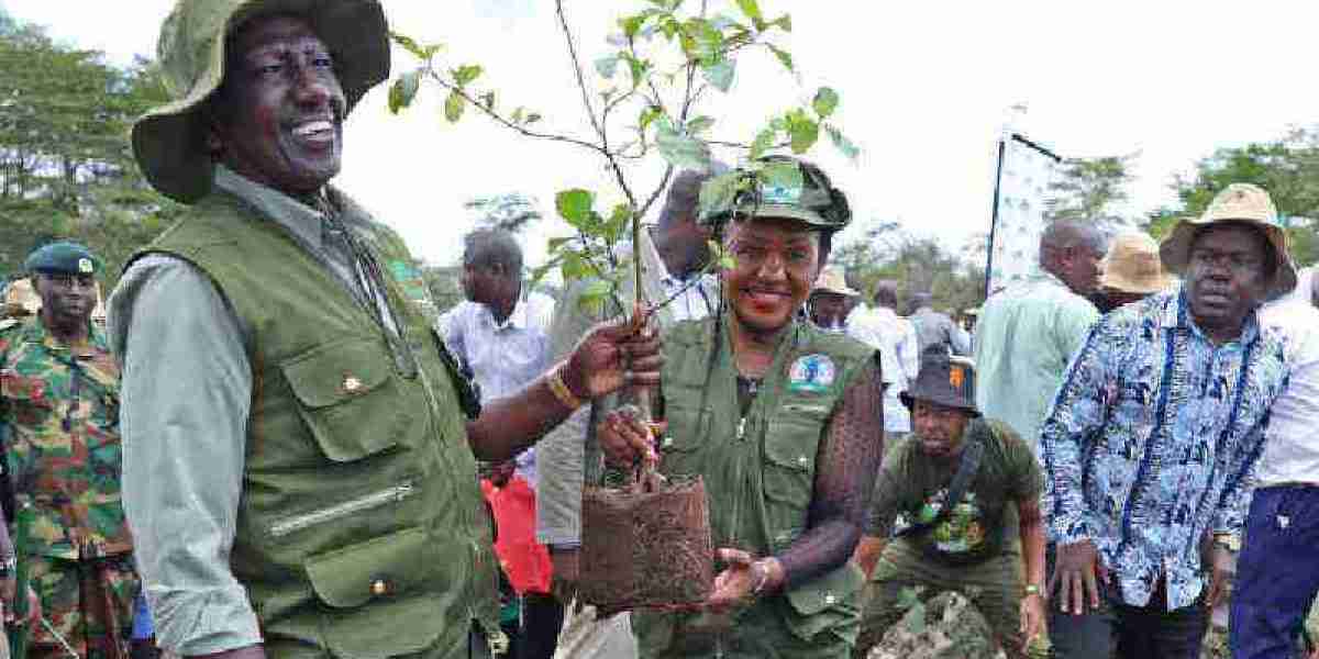 Shutting down the country to plant trees masks our leadership failures