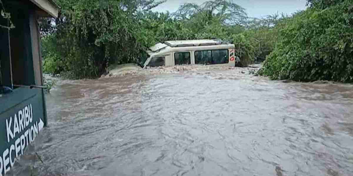 Kenyan tour guide rescues 14 tourists after devastating floods crash through the Maasai Mara