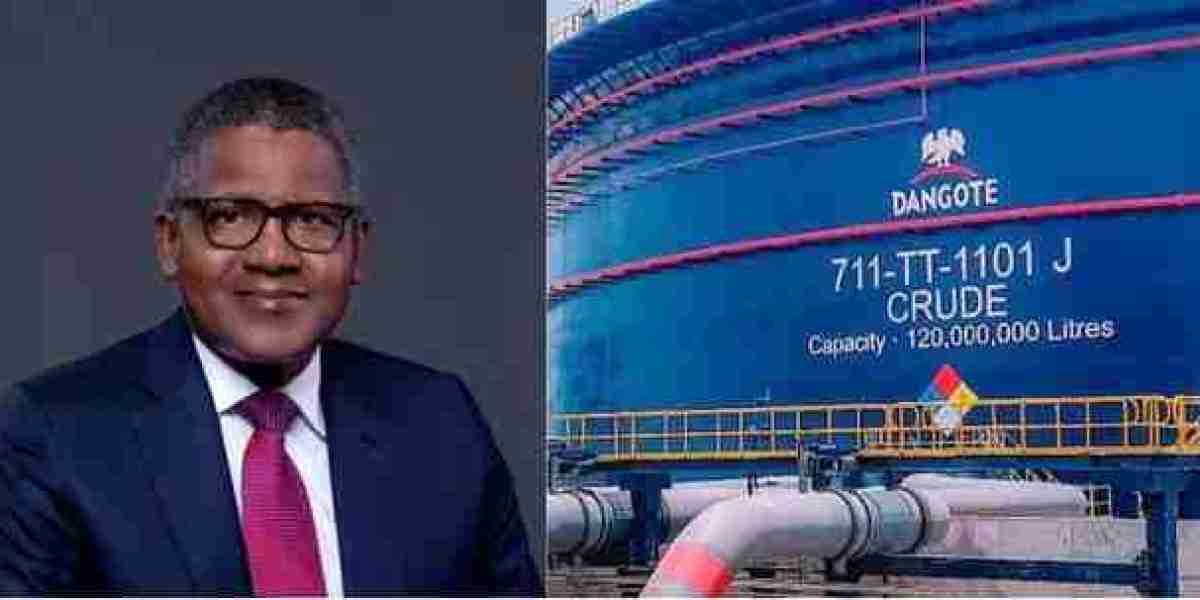 If we knew what we were getting involved in, we wouldn’t have… — Dangote.