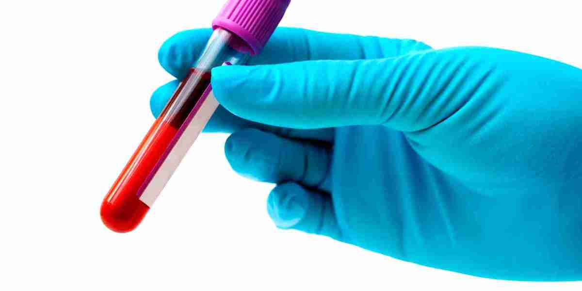 Cat Blood Test Normal Values & Results Explained by Our Vet