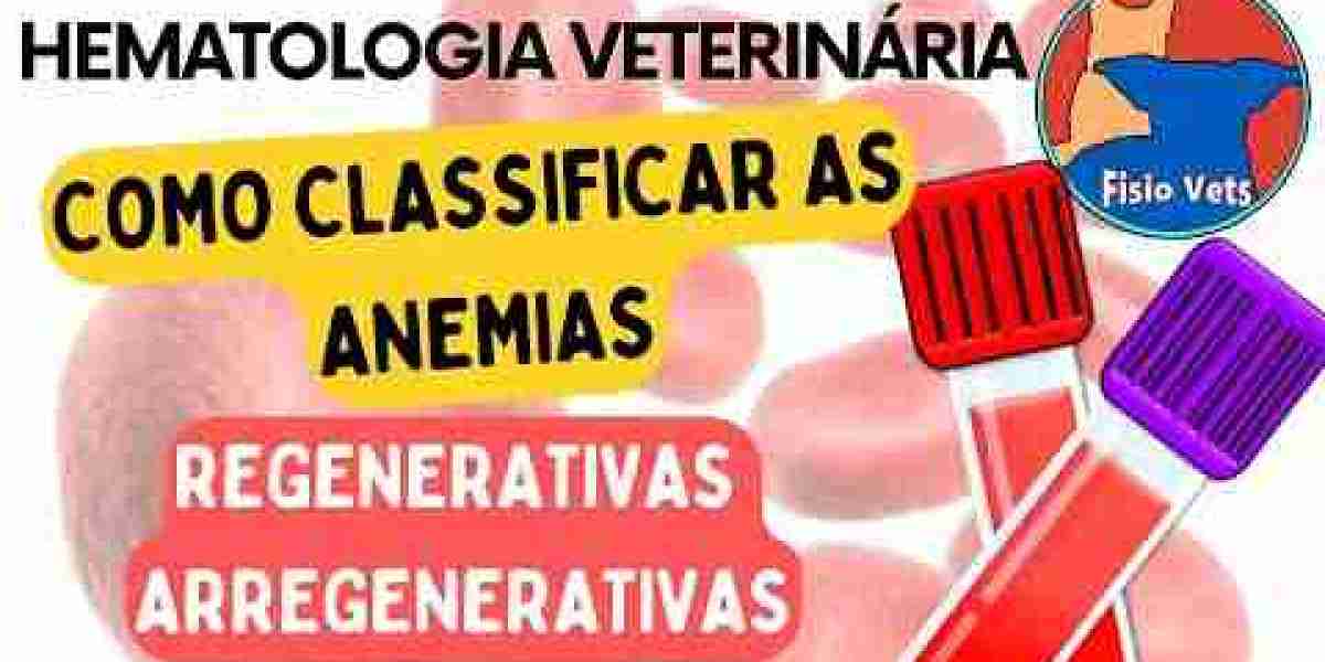 Desvendando a Equimose em Cachorros: Causas, Sintomas e Cuidados Essenciais