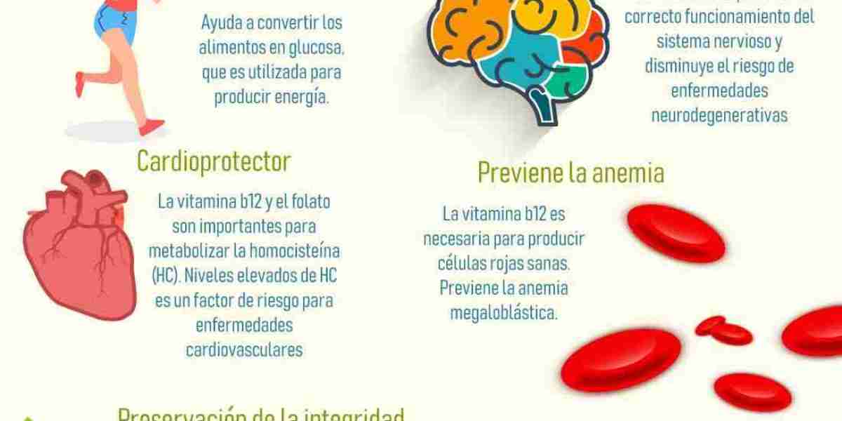 Té de ruda, descubre para qué sirve y qué beneficios tiene para la salud