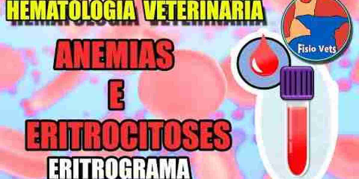 Hipertiroidismo en perros Causas, síntomas y tratamiento