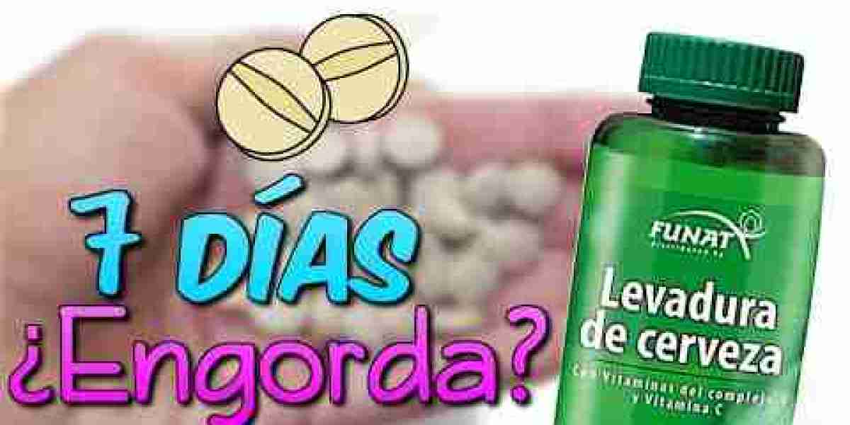 Propiedades y beneficios de comer gelatina a diario Guía 【2024】