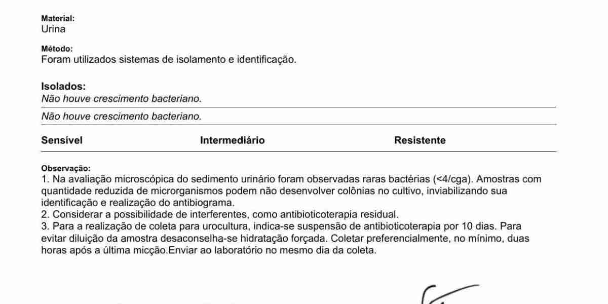 Dieta Especializada: Plan Alimenticio para Perros con Problemas Hepáticos Familia feliz