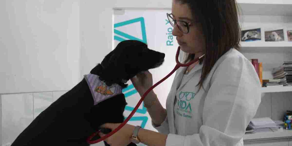 Radiografías, Ecografías, Resonancias y TAC veterinario en Madrid