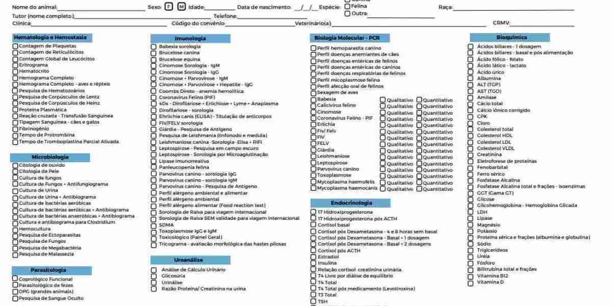 Rayos X, la mejor opción para detectar problemas de tu gato