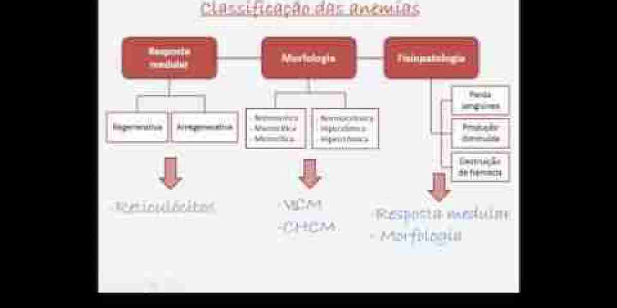 Sistema de radiografía de rayos X digital para animales veterinarios de 20 kW