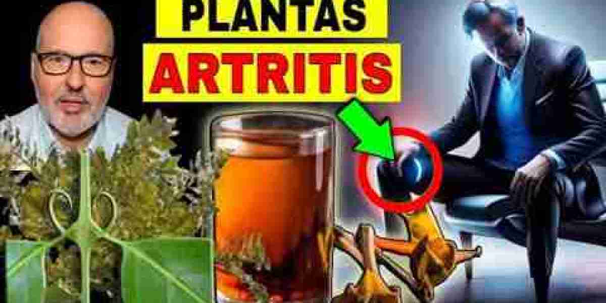 Ruda en Casa: Descubre el Poder y los Significados Detrás de Esta Planta Mágica