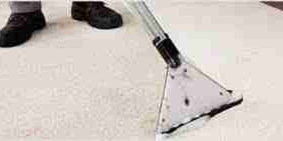 Maximize Your Home’s Cleanliness with Professional Carpet Cleaning